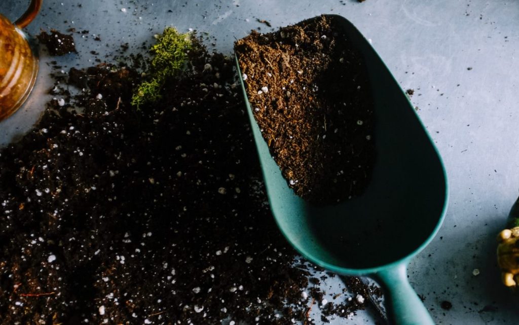 Trowel and dirt