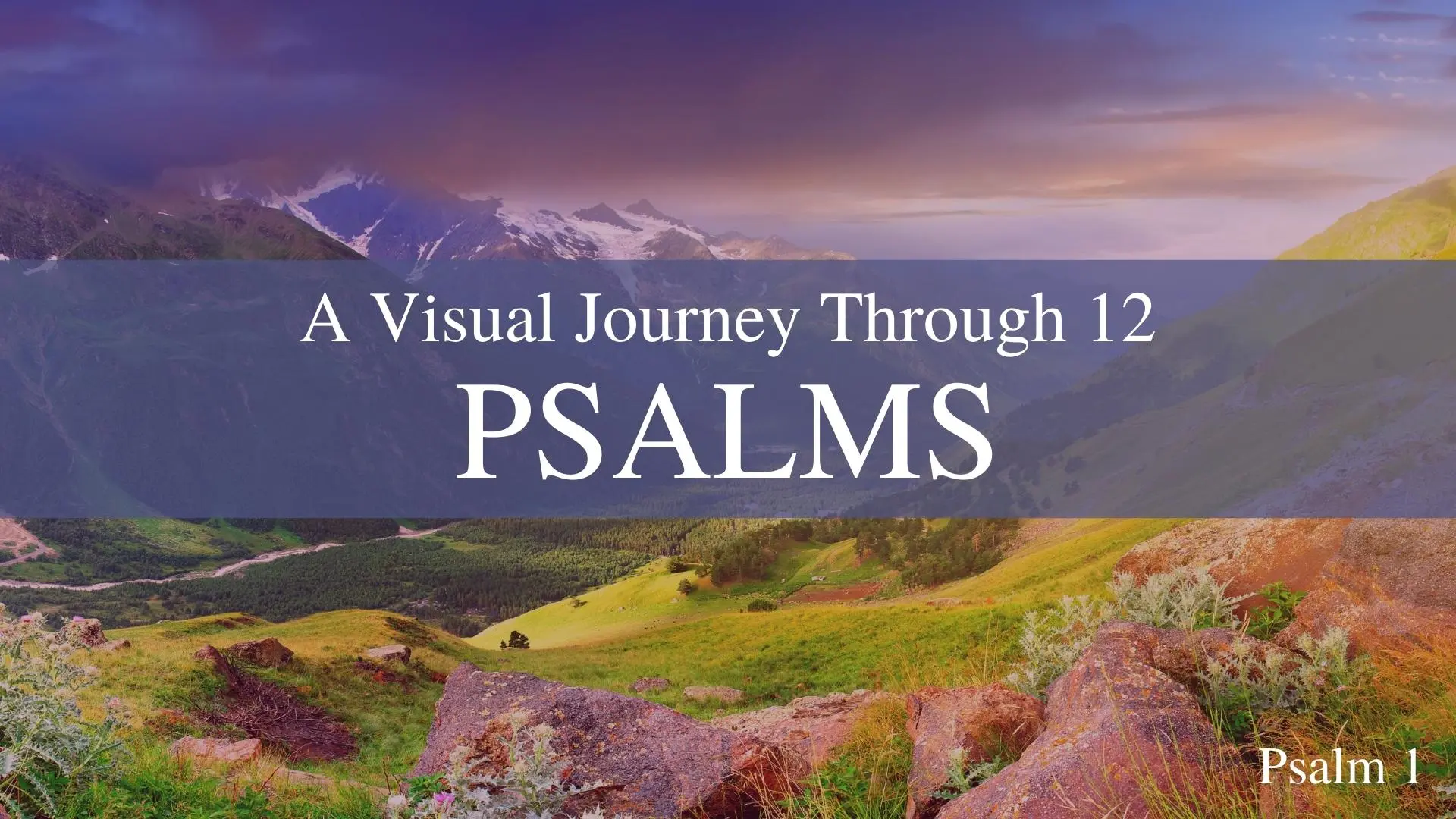Psalm 8: The Glory of God and the Dignity of Man