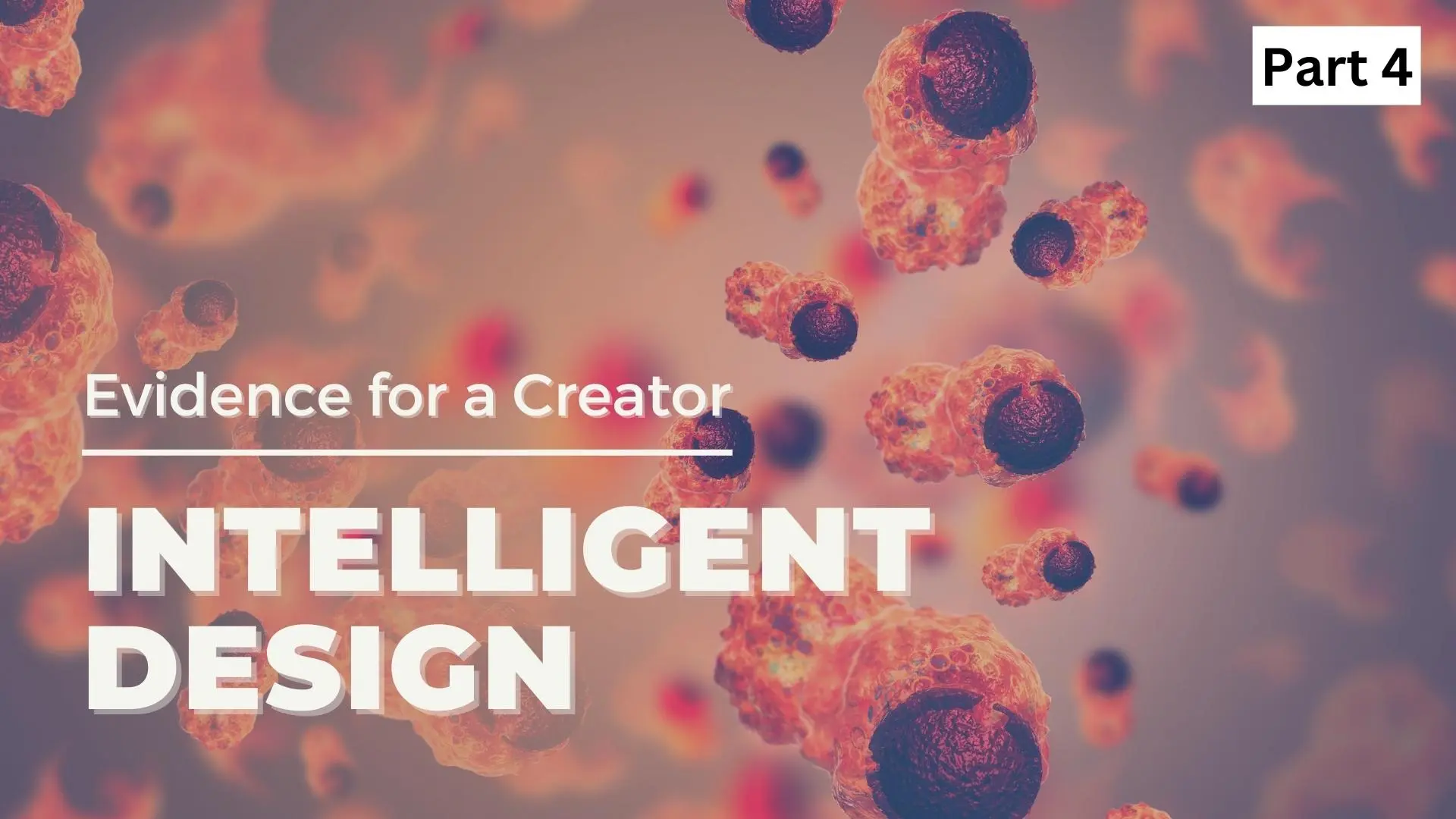 Design in Paleontology