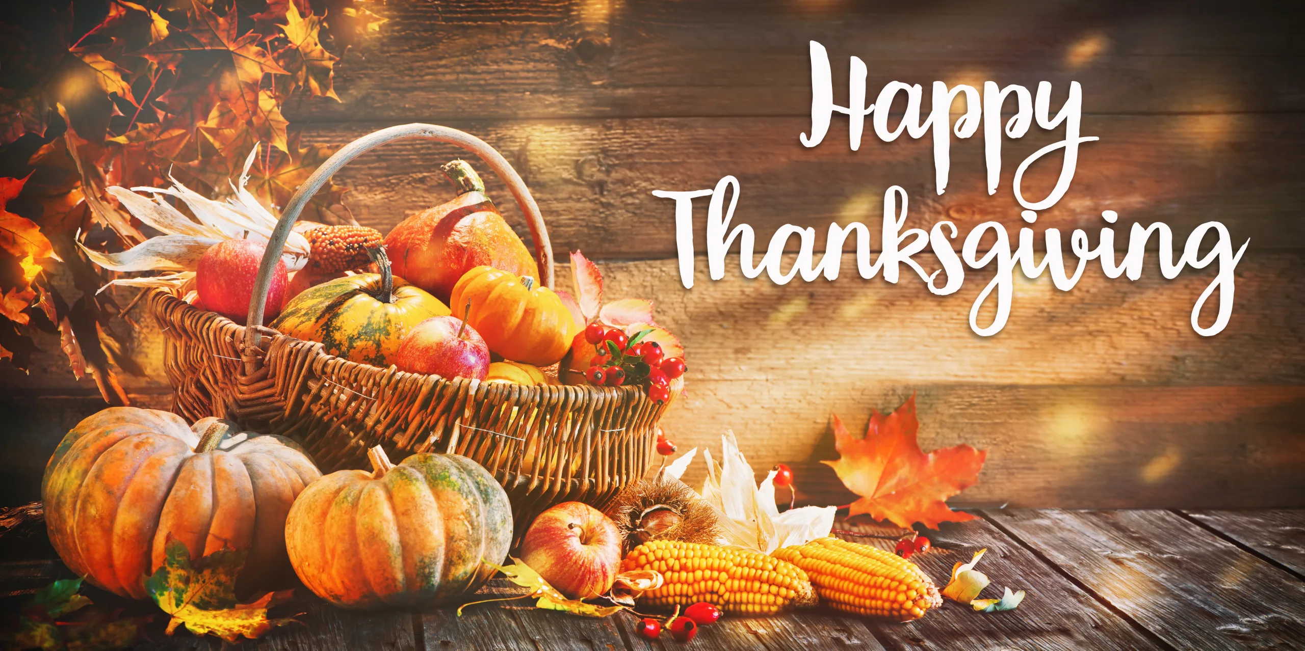 Cultivating A Heart of Gratitude