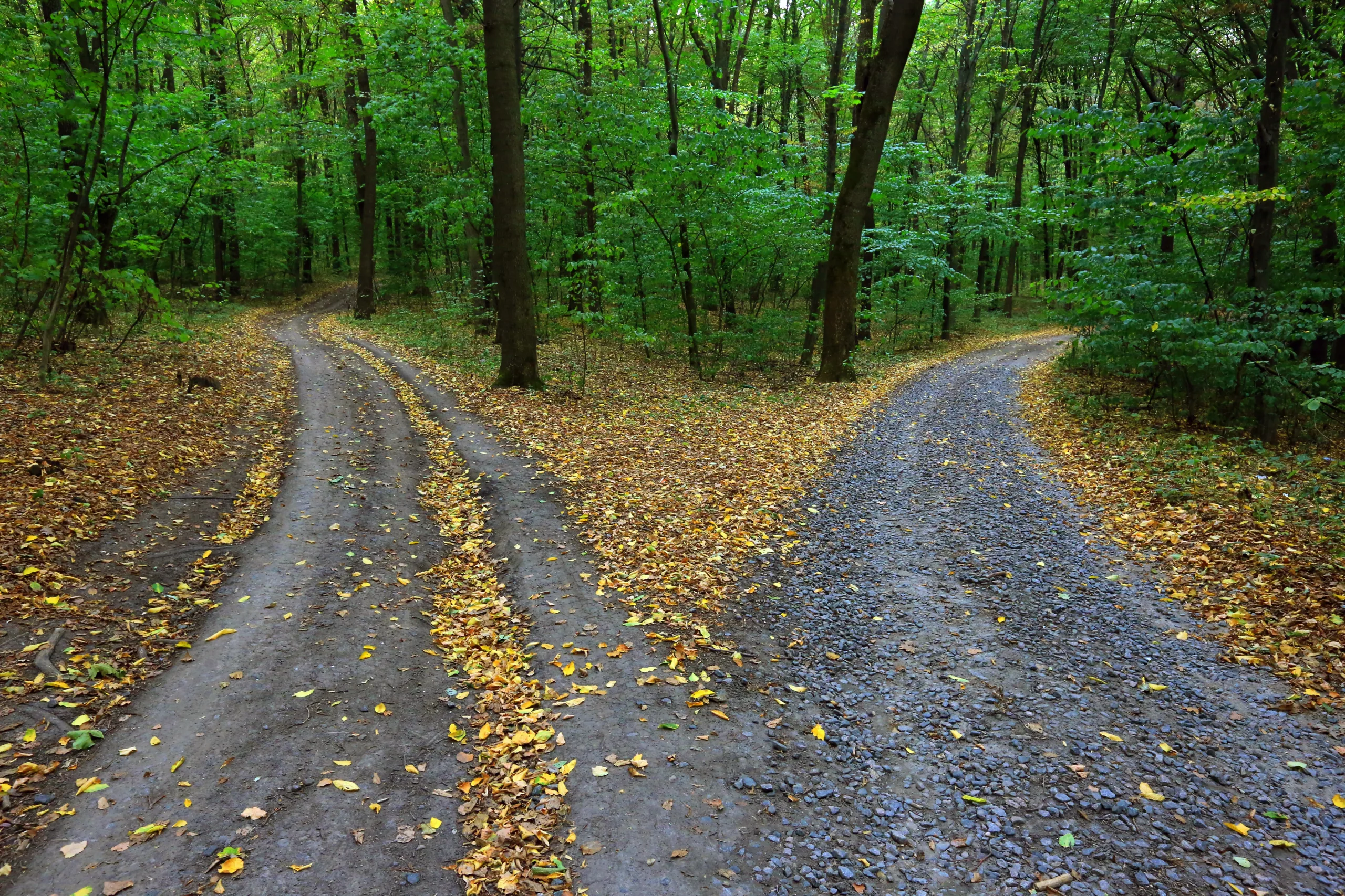 The Sermon on the Mount (36): The Question that Will Not Go Away